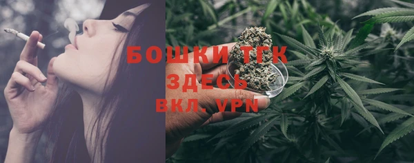 ешки Пересвет