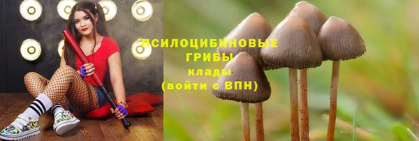 spice Переславль-Залесский