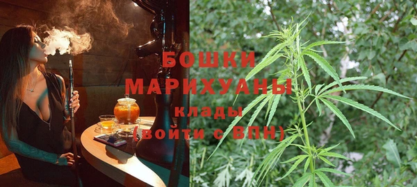 ешки Пересвет