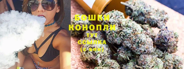 ешки Пересвет