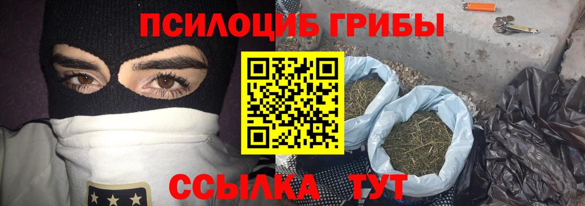 Псилоцибиновые грибы прущие грибы  Пыть-Ях  Псилоцибиновые грибы Psilocybine cubensis 