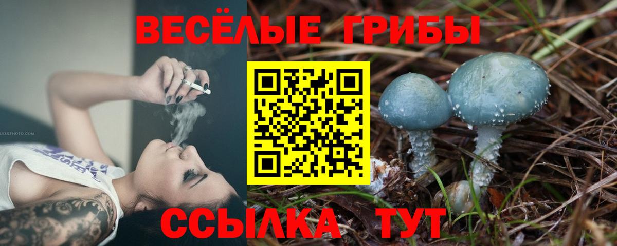 Галлюциногенные грибы Psilocybine cubensis Пыть-Ях