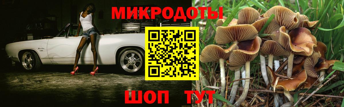 Пыть-Ях  Псилоцибиновые грибы мицелий  Вход с VPN 